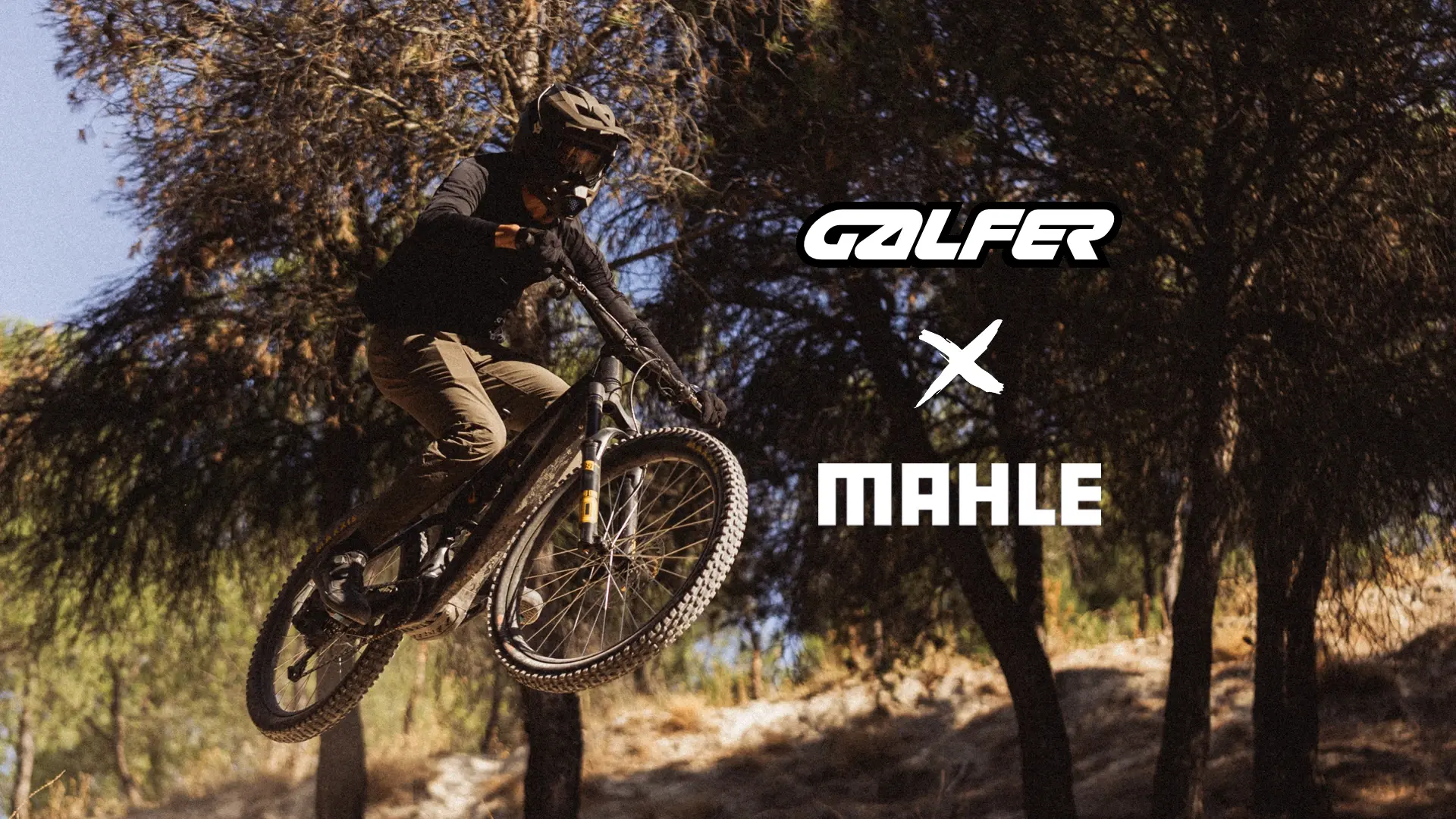 Galfer MAHLE